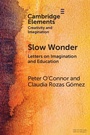 Cover: Slow Wonder - Cambridge University Press