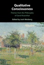 Cover: Qualitative Consciousness - Cambridge University Press