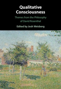 Abbildung von: Qualitative Consciousness - Cambridge University Press