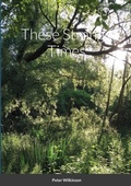 Cover: These Strange Times - Lulu.com