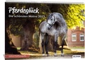 Cover: Pferde Kalender 2023 Pferdegl&uuml;ck! Die sch&ouml;nsten Pferdemotive und Aufnahmen 2023 - BILDNER Verlag