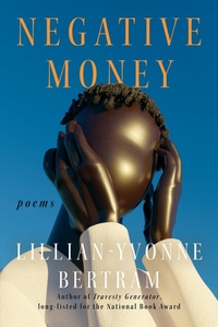 Enlarge image Cover: Negative Money - Soft Skull Press