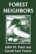 Cover: Forest Neighbors (Yesterday's Classics) - Yesterday's Classics