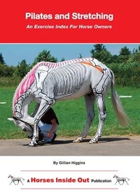 Abbildung von: Pilates and Stretching - Gillian Higgins