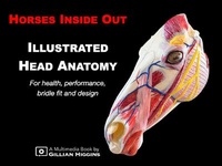 Abbildung von: Illustrated Head Anatomy - Gillian Higgins