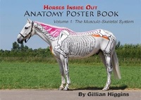 Abbildung von: The Horses Inside Out Anatomy Poster Book - Gillian Higgins