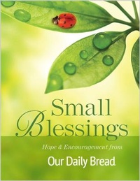 Enlarge image Cover: Small Blessings - Discovery House