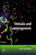 Cover: Meiosis and Gametogenesis - Academic Press