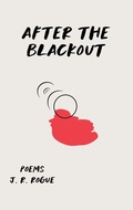 Cover: After The Blackout - J.R. Rogue