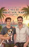 Cover: Call It What You Want (Straight Guys, #12) - Steve Milton