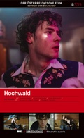 Cover: Hochwald - Hoanzl
