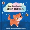 Cover: Say Goodnight, Little Kitten - Ladybird