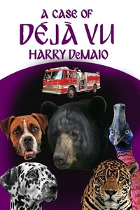 Enlarge image Cover: Case of Deja Vu - Andrews UK