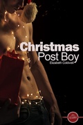 Cover: Christmas Post Boy - Andrews UK