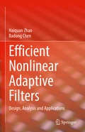 Cover: Efficient Nonlinear Adaptive Filters - Springer