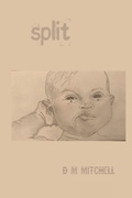 Cover: Split ! - Lulu.com