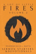 Cover: A Lot of Little Fires - David Martin