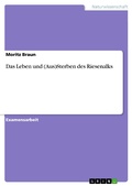 Cover: Das Leben und (Aus)Sterben des Riesenalks - GRIN Verlag