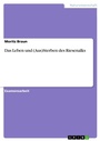 Cover: Das Leben und (Aus)Sterben des Riesenalks - GRIN Verlag