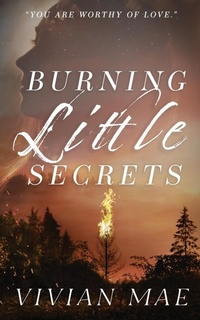 Abbildung von: Burning Little Secrets - Midtown Publishing LLC