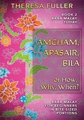 Cover: Amcham, Apasair, Bila or How, Why, When - Subsidia Pty Ltd