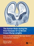 Abbildung von: The Human Brain during the First Trimester 57- to 60-mm Crown-Rump Lengths - CRC Press
