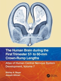 Enlarge image Cover: The Human Brain during the First Trimester 57- to 60-mm Crown-Rump Lengths - CRC Press