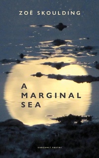 Enlarge image Cover: A Marginal Sea - Carcanet Poetry