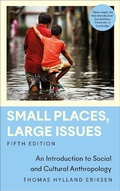 Cover: Small Places, Large Issues - Pluto Press