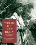 Cover: Where the Gods Reign - Synergetic Press