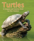 Cover: Turtles: A Compare and Contrast Book - Arbordale Publishing LLC