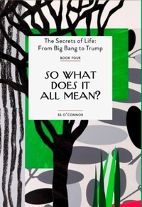 Enlarge image Cover: So What Does It All Mean? - Otium Press