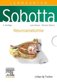 Abbildung von: Sobotta Lernkarten Neuroanatomie - Urban & Fischer