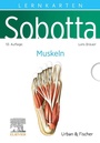 Cover: Sobotta Lernkarten Anatomie: Muskeln - Urban & Fischer