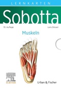 Cover: Sobotta Lernkarten Anatomie: Muskeln - Urban & Fischer