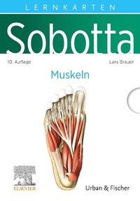 Abbildung von: Sobotta Lernkarten Anatomie: Muskeln - Urban & Fischer