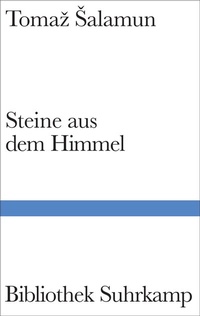 Abbildung von: Steine aus dem Himmel - Suhrkamp