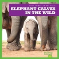 Cover: Elephant Calves in the Wild - Bullfrog Books
