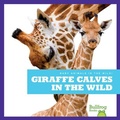 Cover: Giraffe Calves in the Wild - Bullfrog Books
