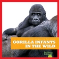 Cover: Gorilla Infants in the Wild - Bullfrog Books