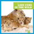 Cover: Lion Cubs in the Wild - Bullfrog Books