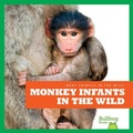 Cover: Monkey Infants in the Wild - Bullfrog Books