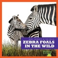 Cover: Zebra Foals in the Wild - Bullfrog Books