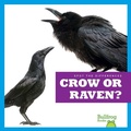 Cover: Crow or Raven? - Bullfrog Books