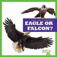 Enlarge image Cover: Eagle or Falcon? - Bullfrog Books