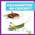 Cover: Grasshopper or Cricket? - Bullfrog Books