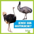 Cover: Emu or Ostrich? - Bullfrog Books