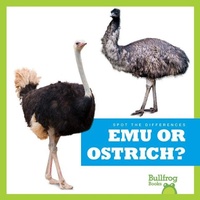 Enlarge image Cover: Emu or Ostrich? - Bullfrog Books