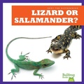 Cover: Lizard or Salamander? - Bullfrog Books