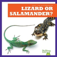 Enlarge image Cover: Lizard or Salamander? - Bullfrog Books